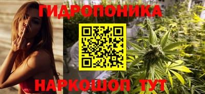 СК Славгород