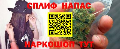 СК Славгород