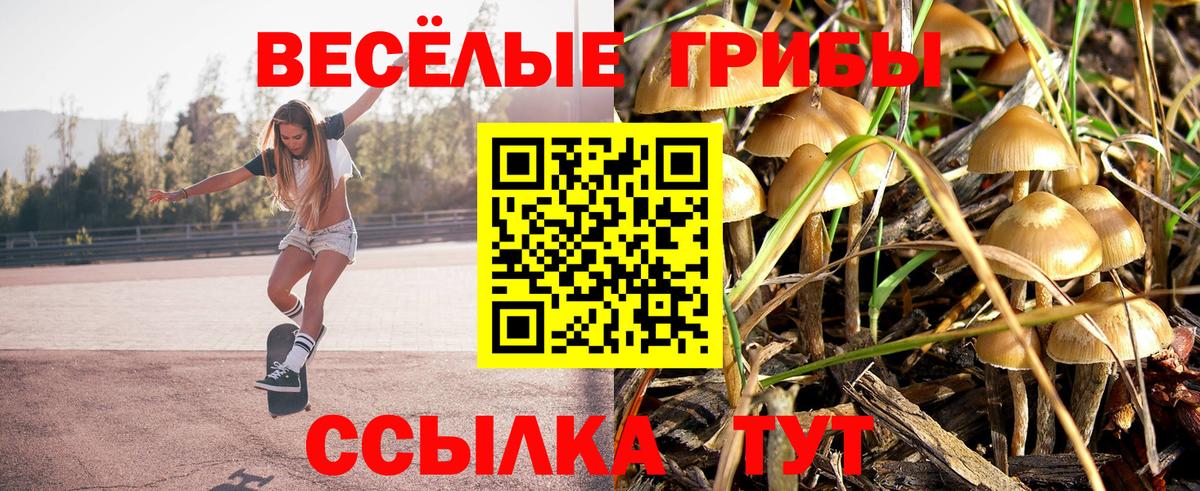 Галлюциногенные грибы прущие грибы Обь