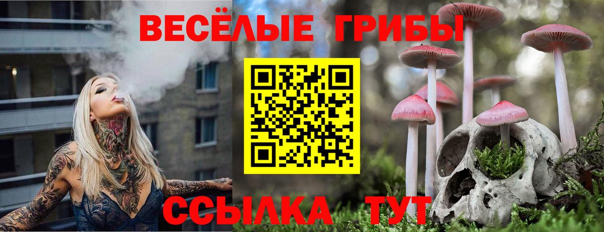 закладки  Галлюциногенные грибы MAGIC MUSHROOMS  Обь  Вход с VPN  Псилоцибиновые грибы мицелий 